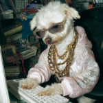 Tapewarp.ai – UGC with AI – A Complete System + Tapebot